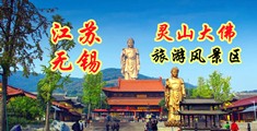 国产91日本免费观看高清江苏无锡灵山大佛旅游风景区